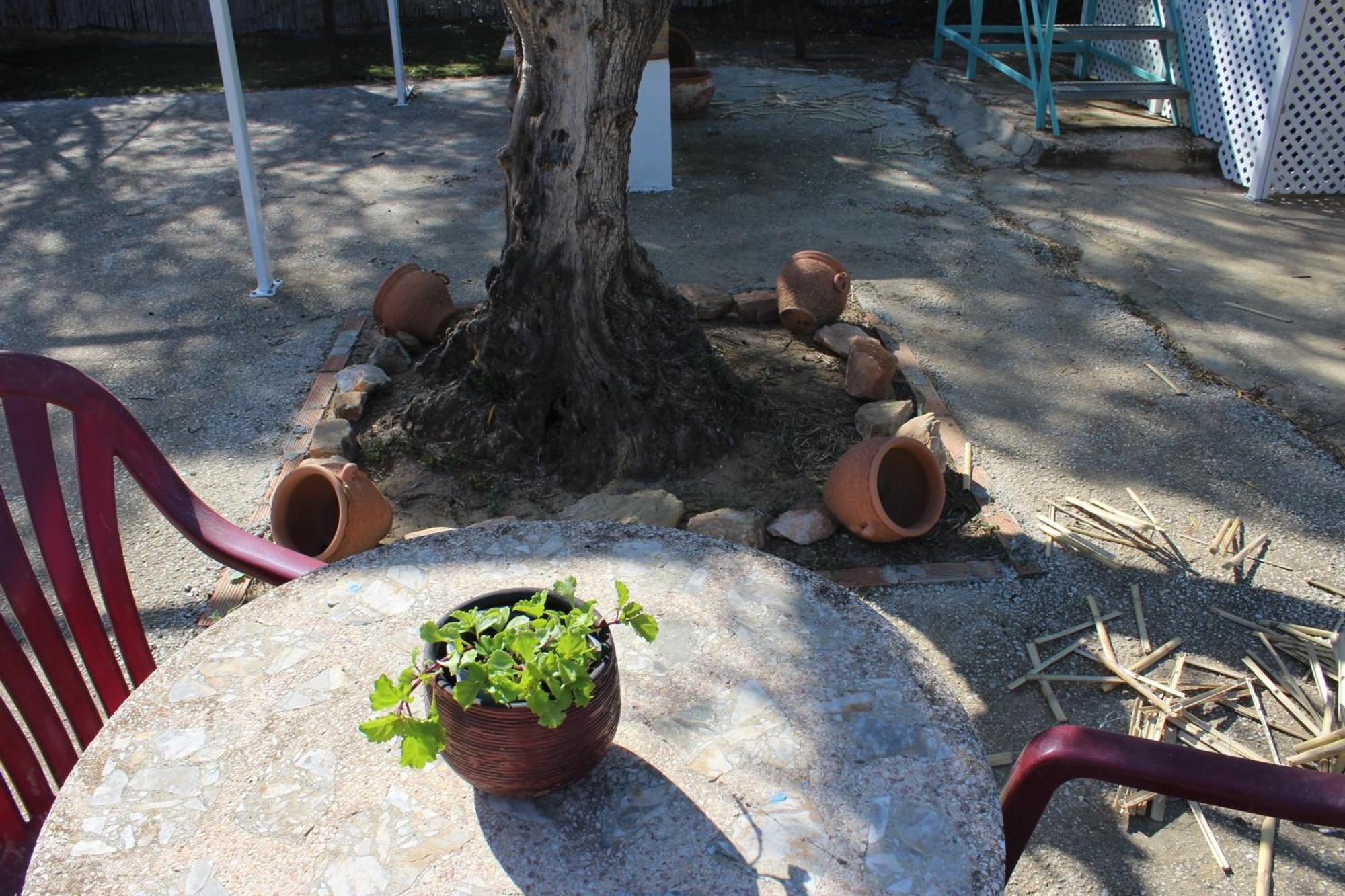 Casa De Campo En Coín Dış mekan fotoğraf