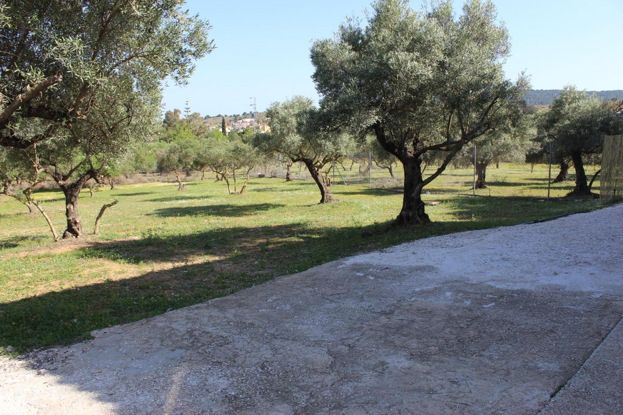 Casa De Campo En Coín Dış mekan fotoğraf