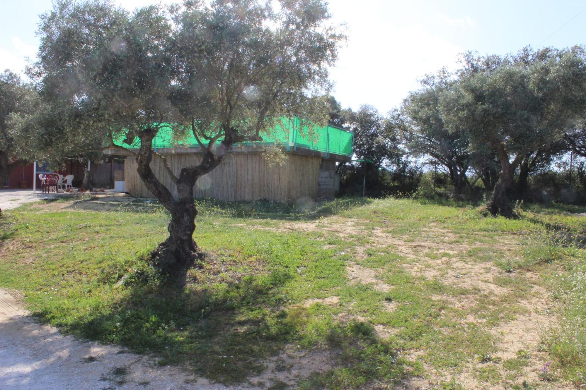 Casa De Campo En Coín Dış mekan fotoğraf